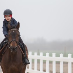 HorseBase_10