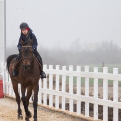 HorseBase_11