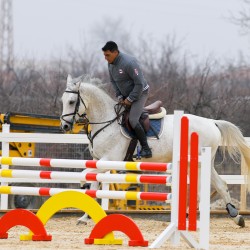 HorseBase_111