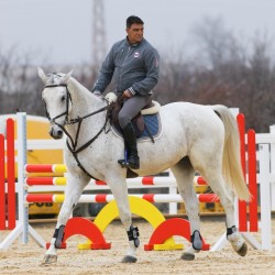 HorseBase_118