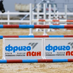 HorseBase_121