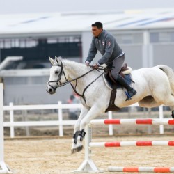 HorseBase_123