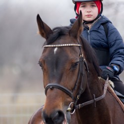 HorseBase_15
