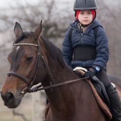 HorseBase_16