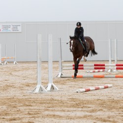 HorseBase_20