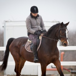 HorseBase_22
