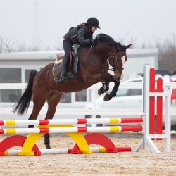 HorseBase_23