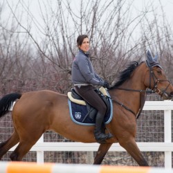 HorseBase_235