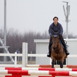 HorseBase_239
