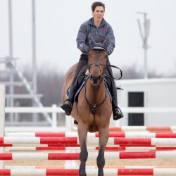 HorseBase_241