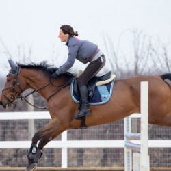 HorseBase_242