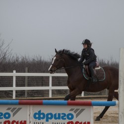 HorseBase_290
