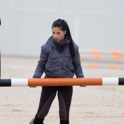 HorseBase_3