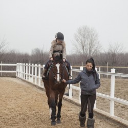 HorseBase_339