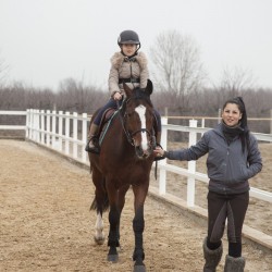 HorseBase_340