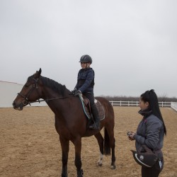 HorseBase_348