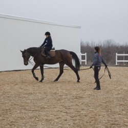 HorseBase_357