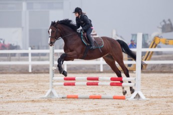 HorseBase_37