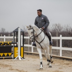 HorseBase_374