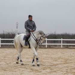 HorseBase_375