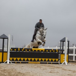 HorseBase_376