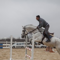 HorseBase_380