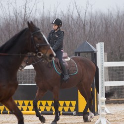 HorseBase_4