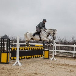 HorseBase_401