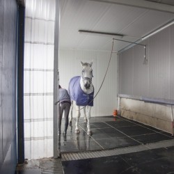 HorseBase_408