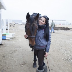 HorseBase_463