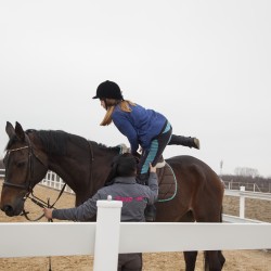 HorseBase_464
