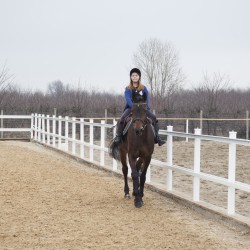 HorseBase_466