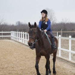 HorseBase_467