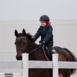 HorseBase_7