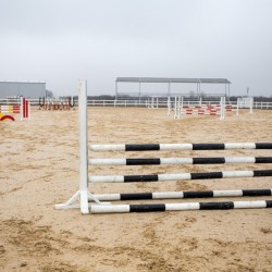HorseBase_77