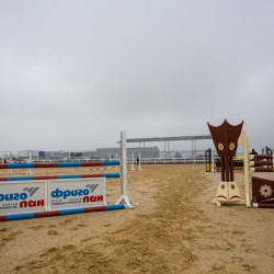 HorseBase_82
