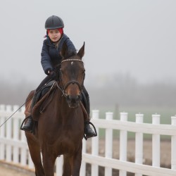 HorseBase_9